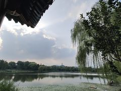 -北坞公园
