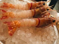 -斯普汇生蚝牛排馆(中骏世界城店)