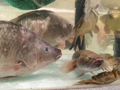 -万龙洲海鲜(大兴绿地缤纷城店)