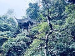 -凤栖山