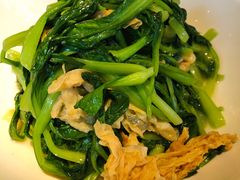 鸡毛菜炒腐衣-玫瑰厅上海菜(兴国路店)