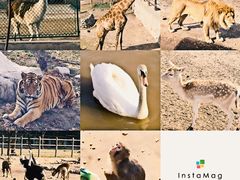 -西安秦岭野生动物园