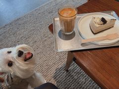 -山下C5cafe(惠通时代广场店)