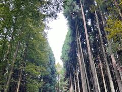 -山王坪喀斯特国家生态公园