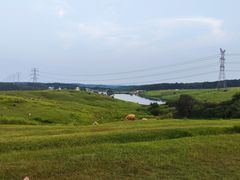 -大柳草原