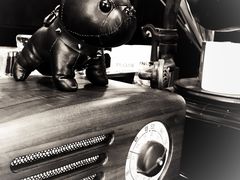 -百好乐宠物友好餐厅(朝外大街店)