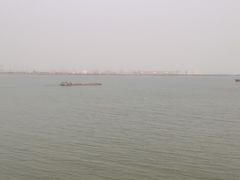 -大湾区中央湿地公园