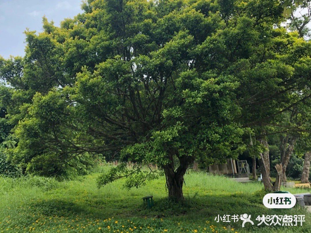 香港🇭🇰（月半湾）
