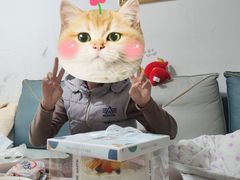 -安妮贝可生日蛋糕(市中万达店)