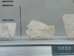 android_upload_pic-中国地质大学逸夫博物馆