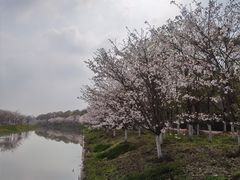 -上海海湾国家森林公园