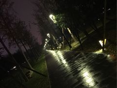 唐城墙遗址公园-唐城墙遗址公园