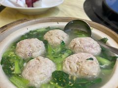 -丁老爷子苏香圆