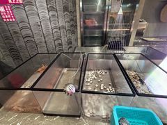 -凤凰岛度假酒店-海鲜自助餐厅