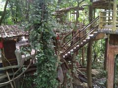 -天门沟九州驿站树上汤泉