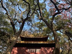 -普陀山风景名胜区-法雨禅寺