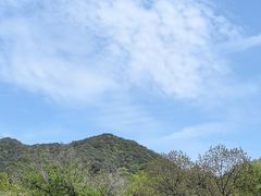 -西湖风景区十里琅珰-五云山
