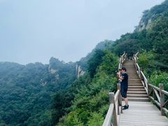 -大岭沟猕猴桃谷风景区