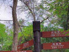 -白塔山公园