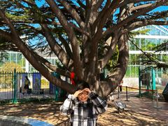 -国家植物园南园