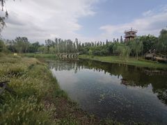 -东郊湿地公园