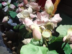 -小凤庭·地道湖北菜武昌鱼·藕汤(38年黄鹤楼店)