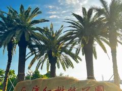 -宝安西湾红树林湿地公园