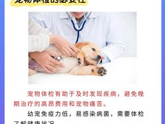 -康成宠物医院24H·CT·核磁共振