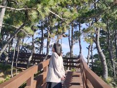 -柱状节理带