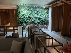 -浅深(北京北四环精品店)