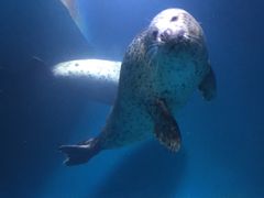 -青岛海底世界-水族馆