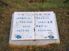-微山湖红荷湿地景区