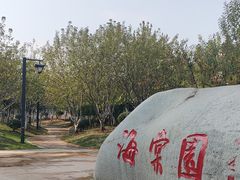 -武昌江滩