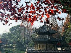 -习家池