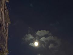 -Apple零售店(成都太古里店)