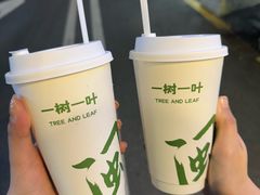 -一树一叶·福建茶档(石鼓路店)