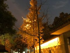 -生宇山珍野生菌汤锅•始于1999(双流古塔店)