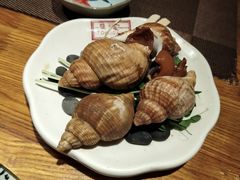 烤海螺-德川家日本料理(中关村寰太大厦店)