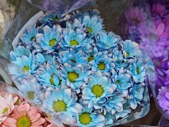 -天虹购物中心(深圳龙华店)