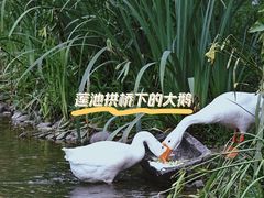 -中国丝绸博物馆
