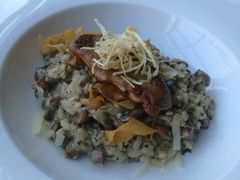 -Oyster Talks 四度蚝法餐厅
