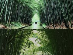 -同里国家湿地公园