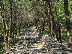 -阳台山自然风景区