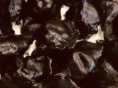 -添福来墨鱼饺子 · 海鲜东北菜(大连星海·黄浦路店)