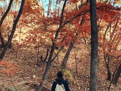 -大连天门山国家森林公园