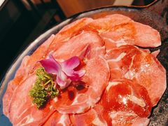 -杨记齐齐哈尔烤肉(五莲路店)
