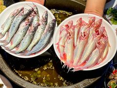-石锅苗苗鱼(武汉首店)
