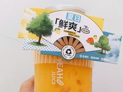 -野萃山·潮汕厚果汁(十亩地店)