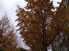 -四川大学(望江校区)
