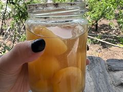 -南窖乡水峪村山情农家